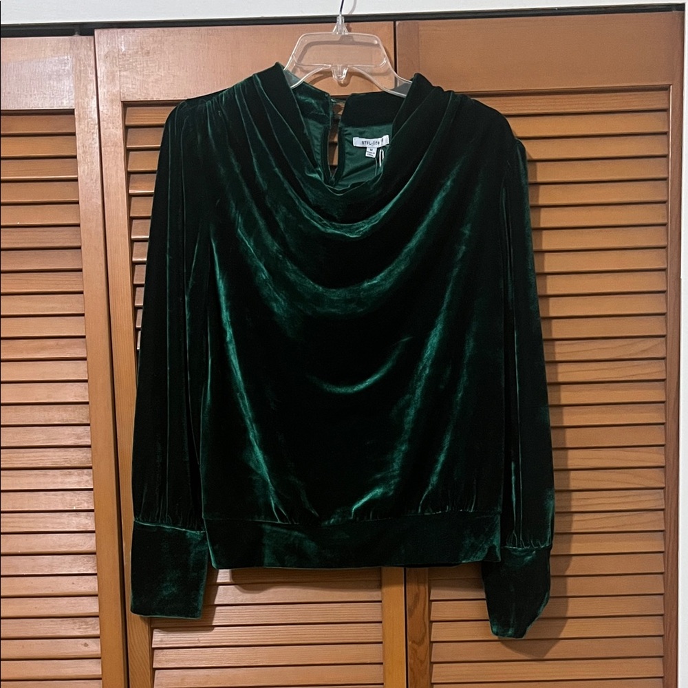 Green Velvet Anthropologie Top